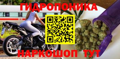 СК Балаково